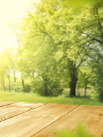 Gr&oslash;ntomr&aring;de med trebenk